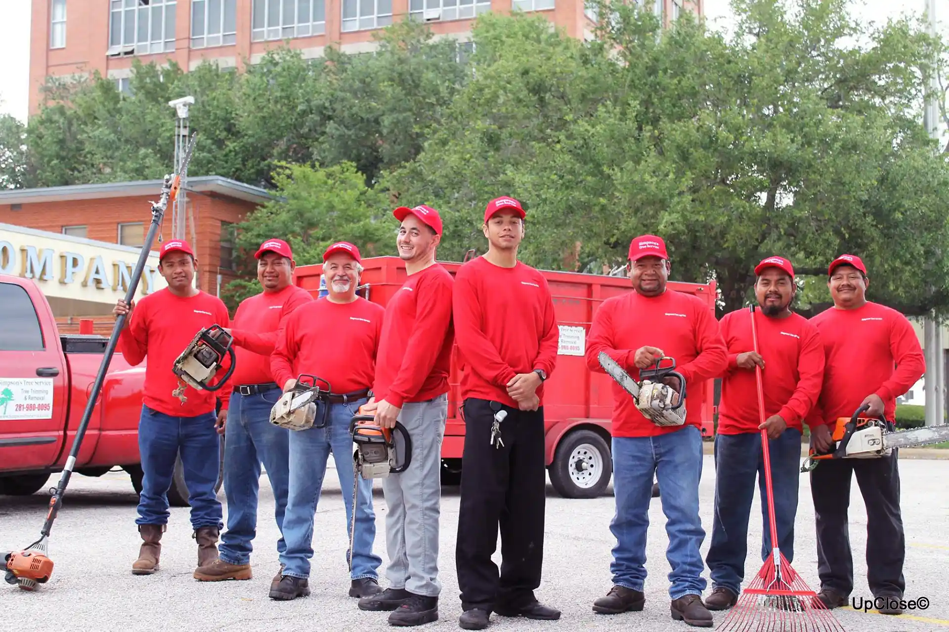 Affordable Tree Removal