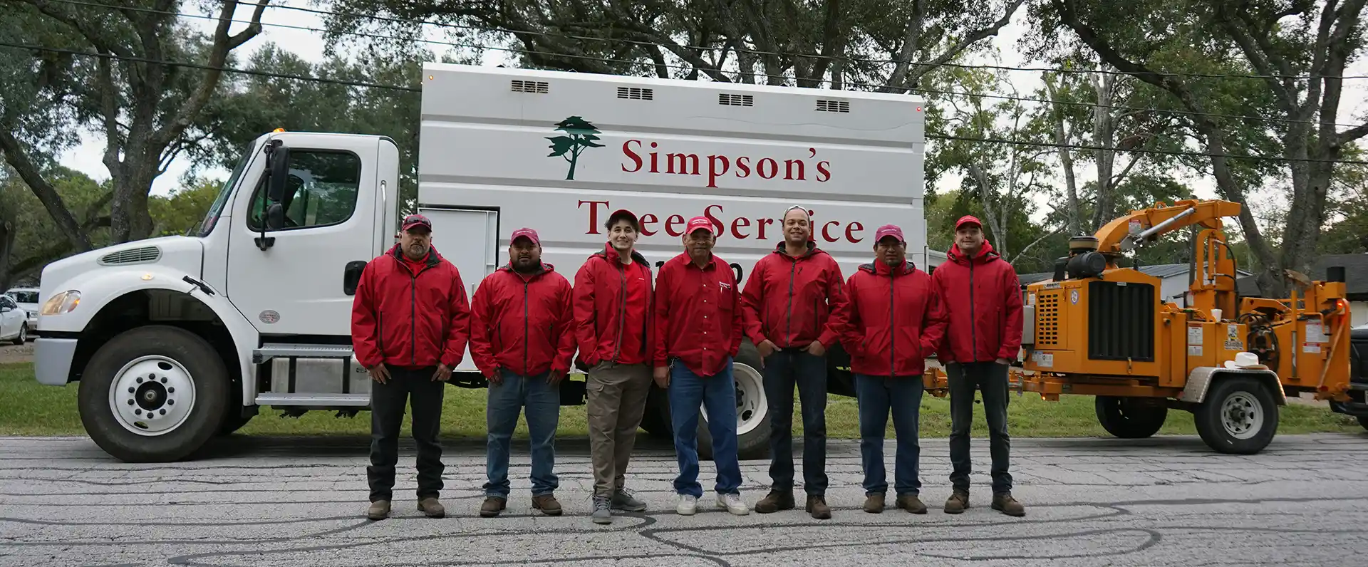 Tree Services Sugar Land Texas 